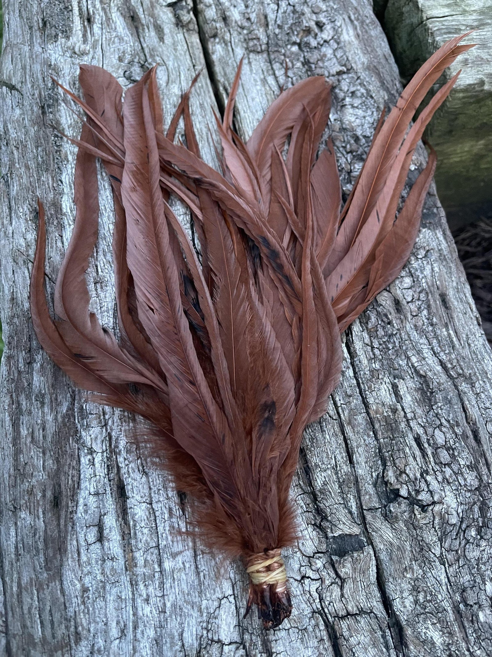 Whiting Schlappen 10