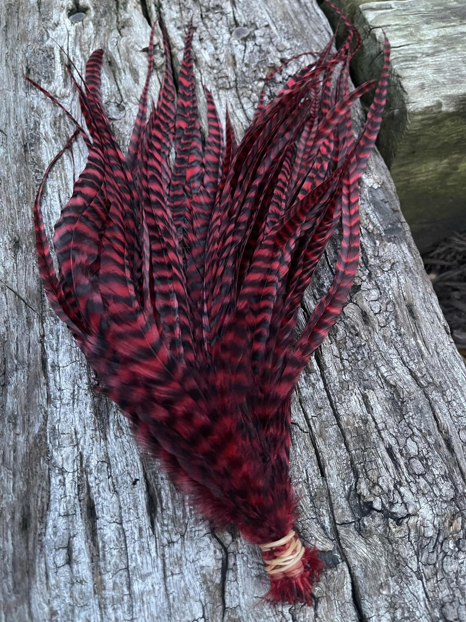 Whiting Schlappen 10