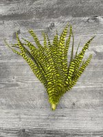 Whiting Schlappen 10"-14" Bundle