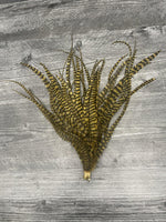 Whiting Schlappen 10"-14" Bundle