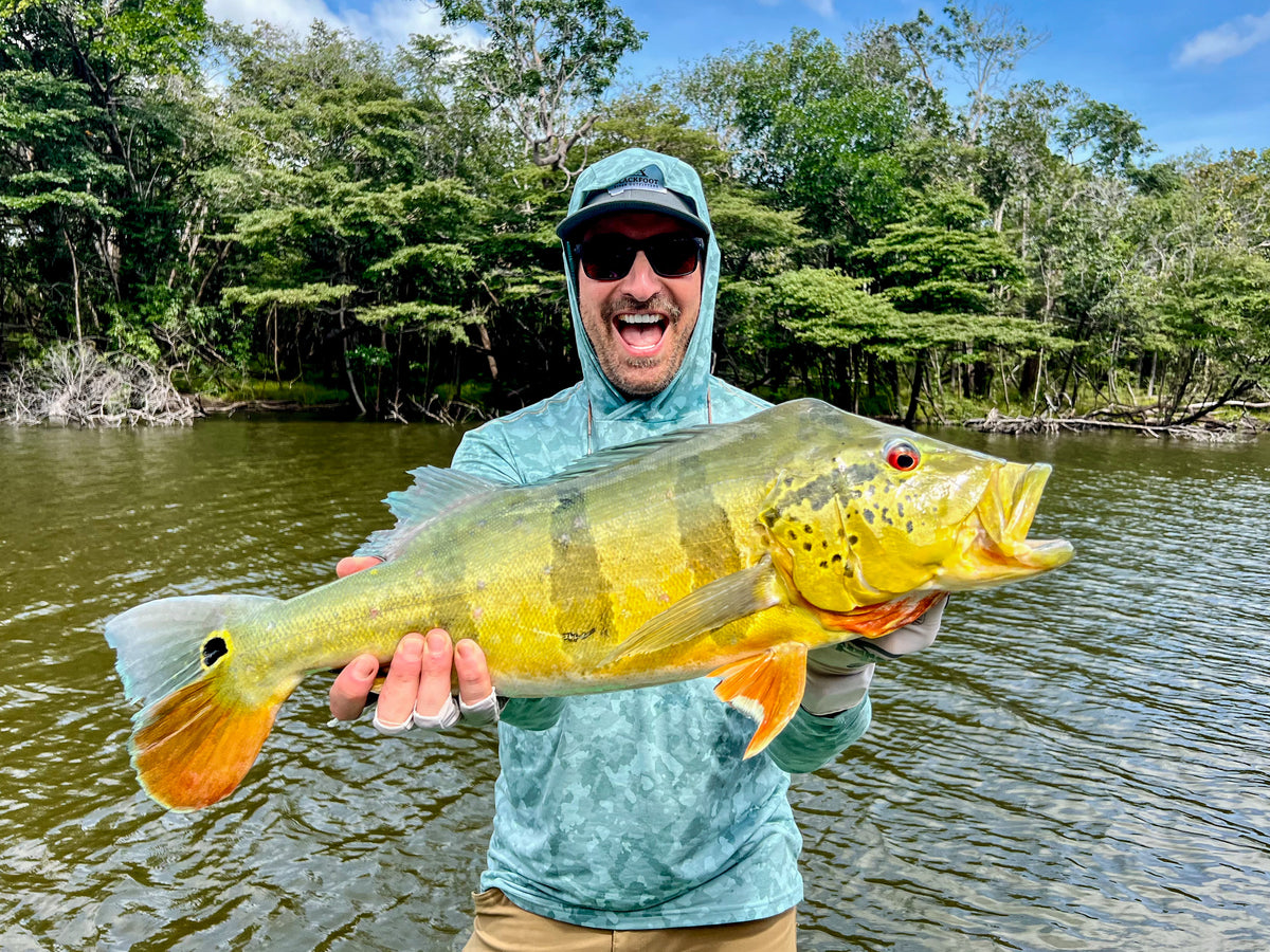 Brazil Peacock Bass at Agua Boa Amazon Lodge