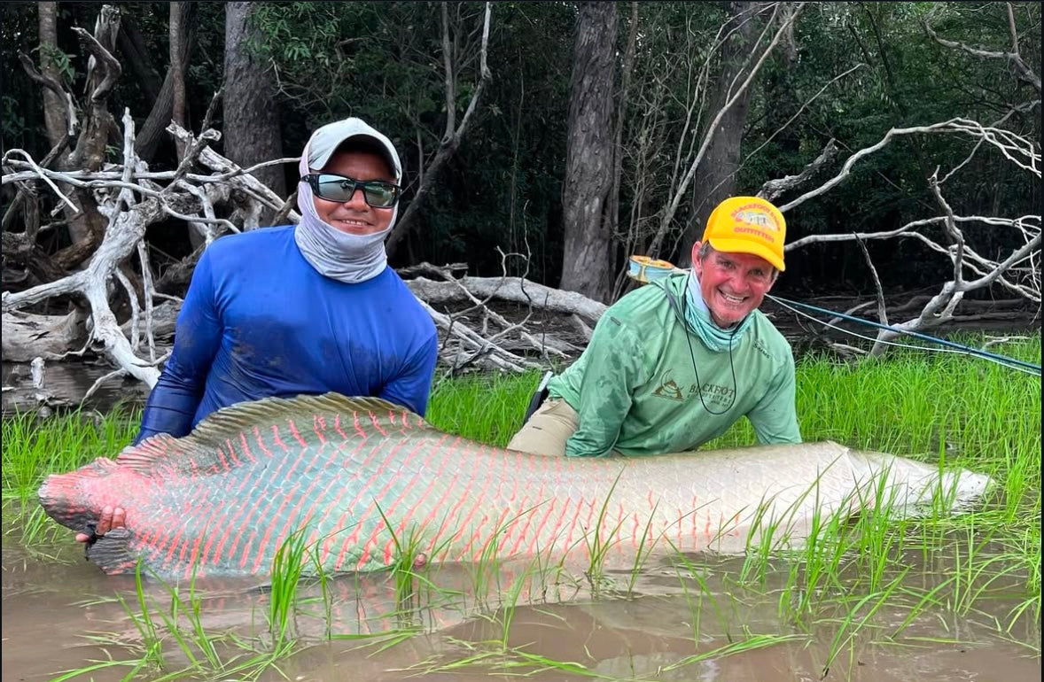 Arapaima Fly Assortment