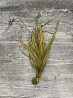 Whiting Schlappen 10"-14" Bundle