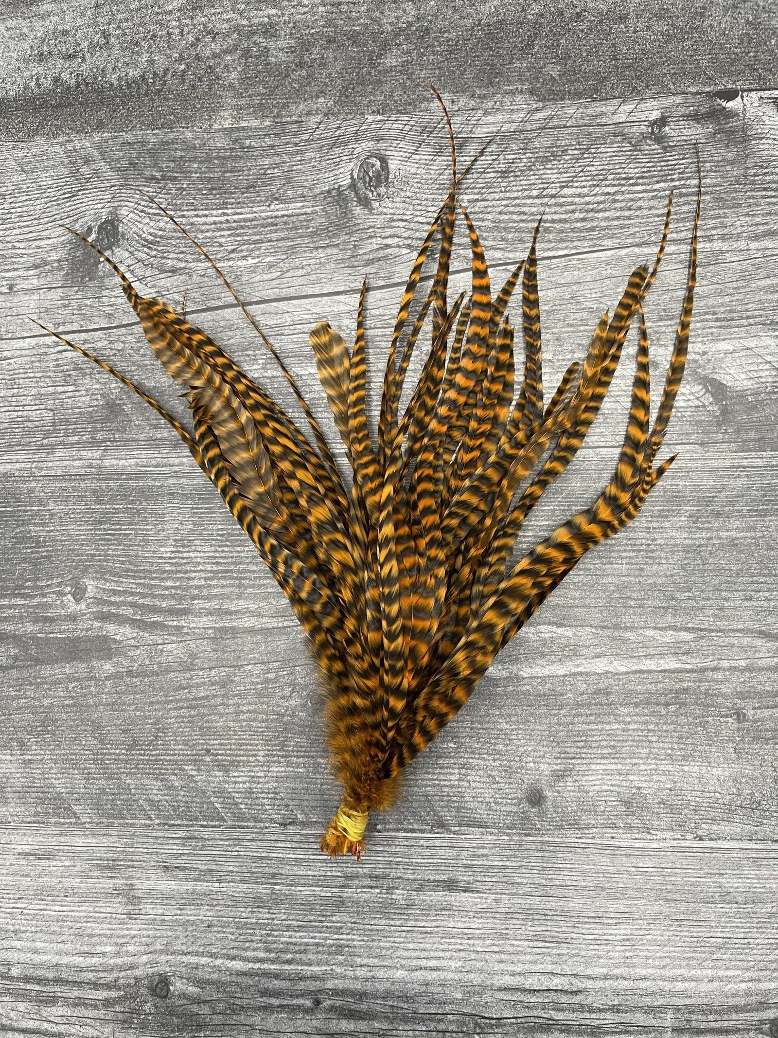 Whiting Schlappen 10