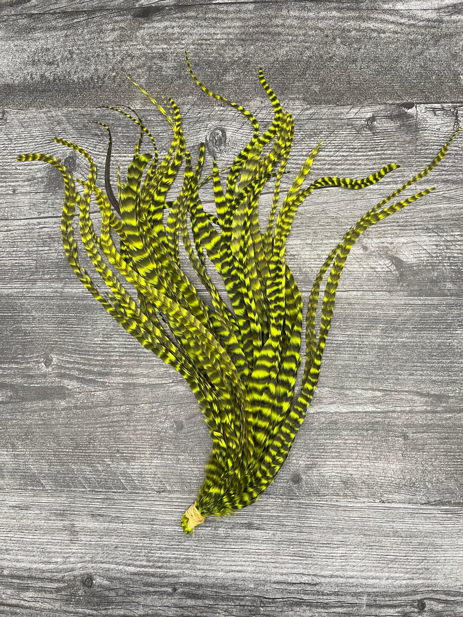 Whiting Schlappen 10