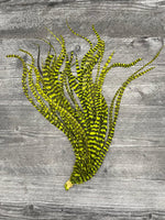 Whiting Schlappen 10"-14" Bundle