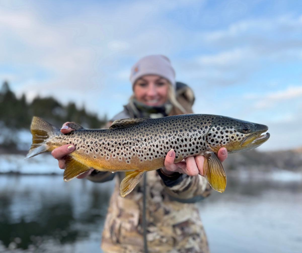 Angler holding a heavily spotted brown trout