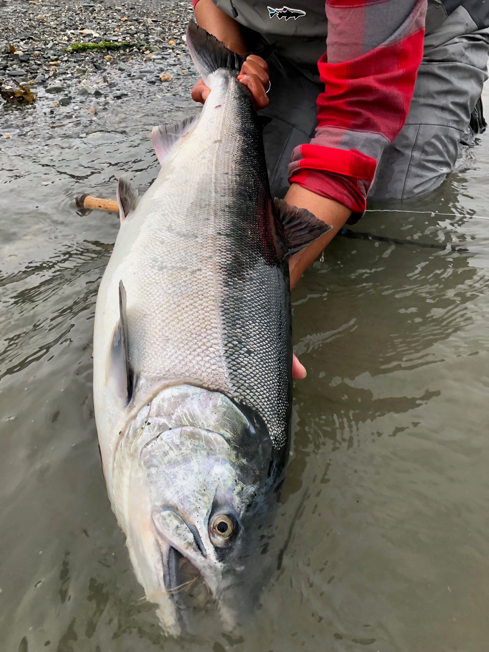 Salmon Fly Assortment