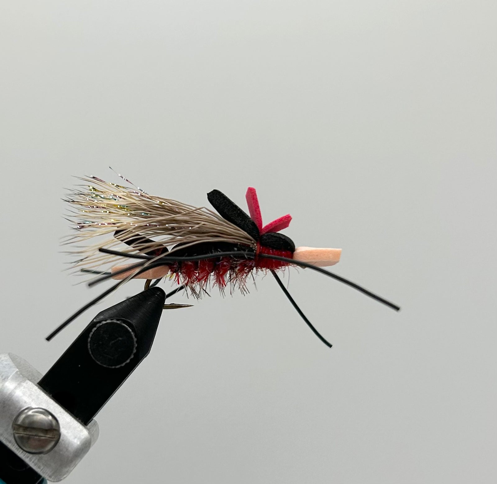 Amy's Ant- SALE (1/2 DZ)
