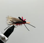 Amy's Ant- SALE (1/2 DZ)