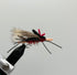 Amy's Ant- SALE (1/2 DZ)
