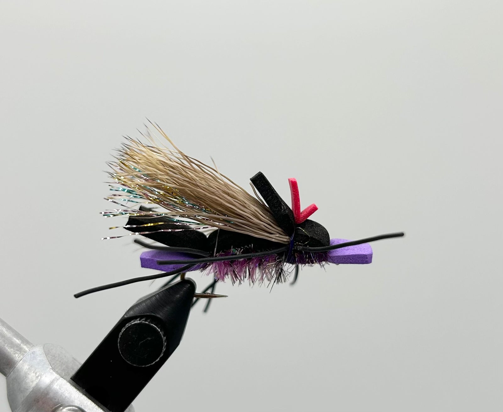 Amy's Ant- SALE (1/2 DZ)