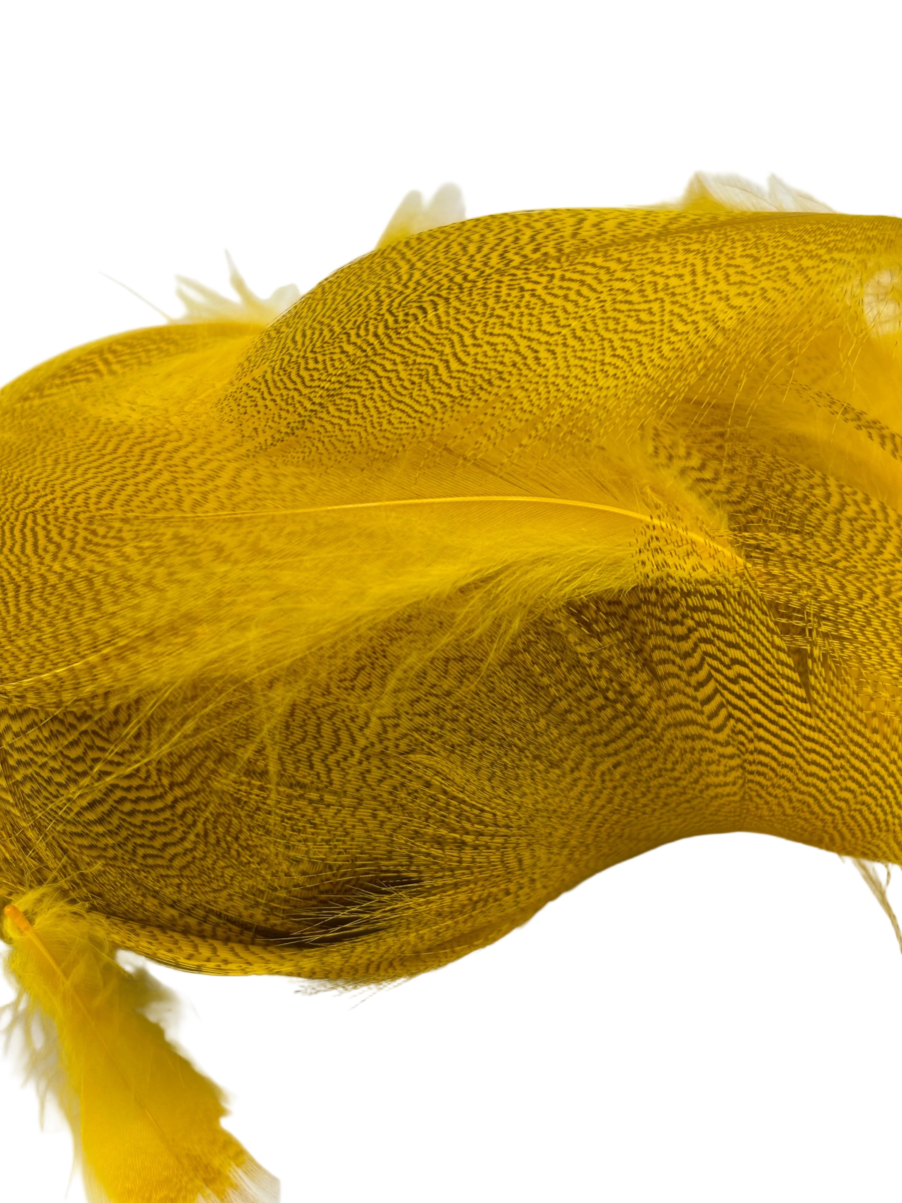 Nature's Spirit Mallard Flank