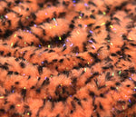 Hareline UV Mottled Galaxy Mop Chenille