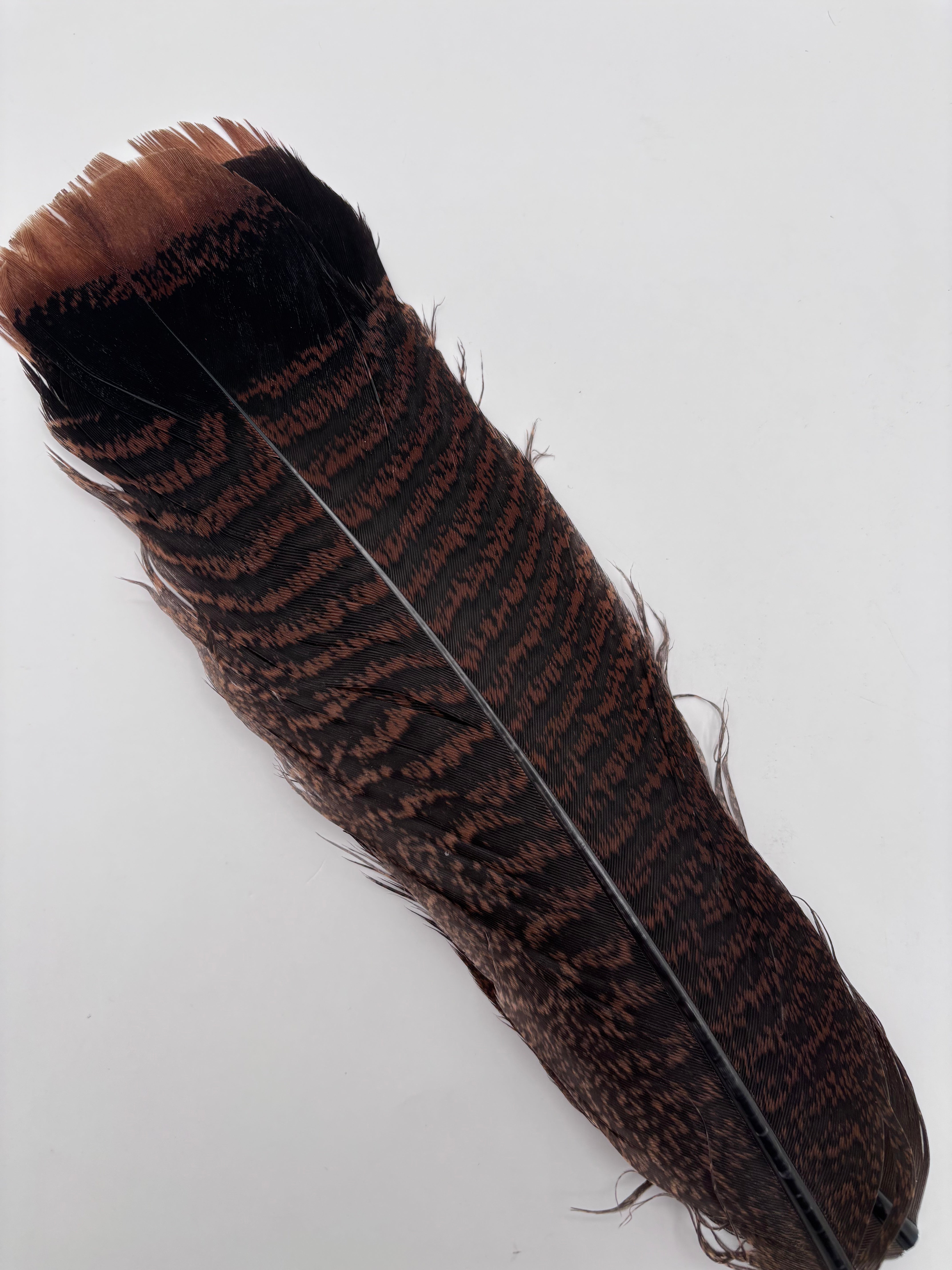 Select Ozark Mottled Turkey Tails