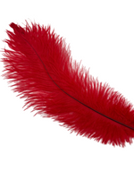 Nature's Spirit Ostrich Plume