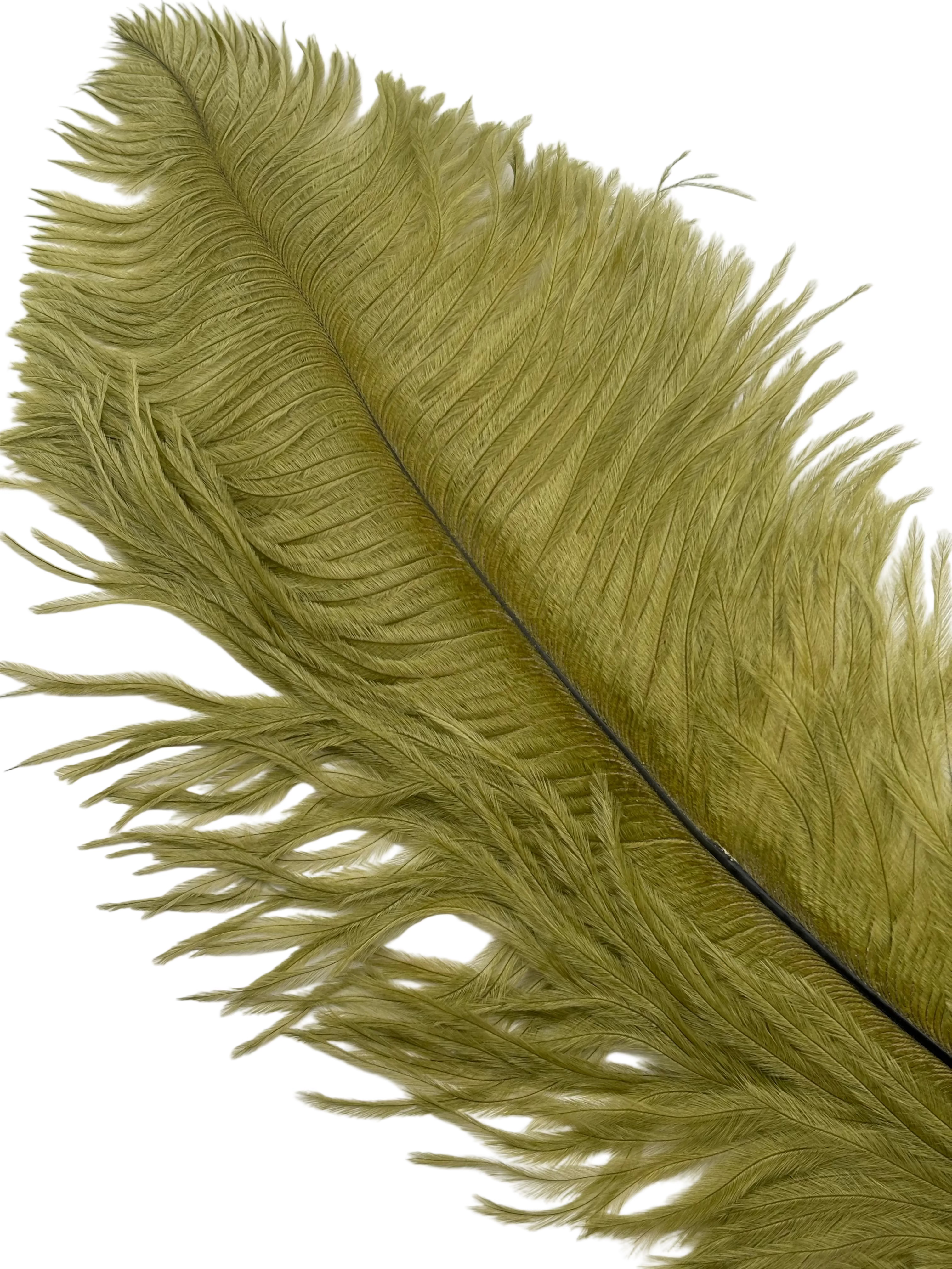 Nature's Spirit Ostrich Plume