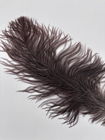 Nature's Spirit Ostrich Plume