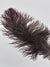 Nature's Spirit Ostrich Plume