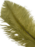 Nature's Spirit Ostrich Plume