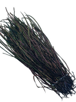 Nature's Spirit Strung Peacock Herl (5-7 inch)