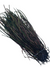 Nature's Spirit Strung Peacock Herl (5-7 inch)