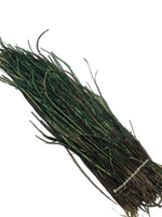 Nature's Spirit Strung Peacock Herl (5-7 inch)