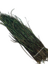 Nature's Spirit Strung Peacock Herl (5-7 inch)