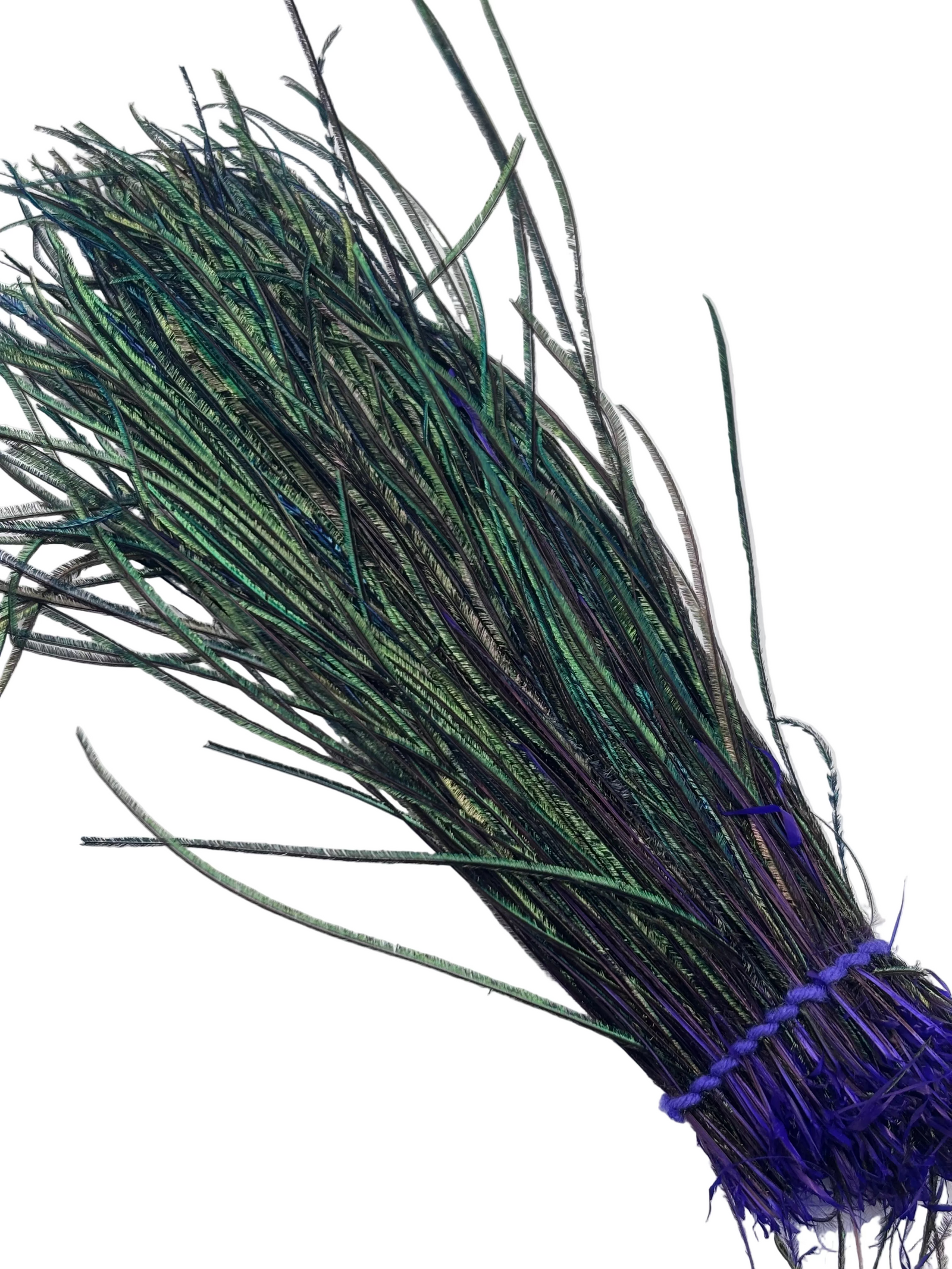 Nature's Spirit Strung Peacock Herl (5-7 inch)