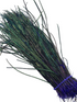 Nature's Spirit Strung Peacock Herl (5-7 inch)