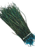 Nature's Spirit Strung Peacock Herl (5-7 inch)