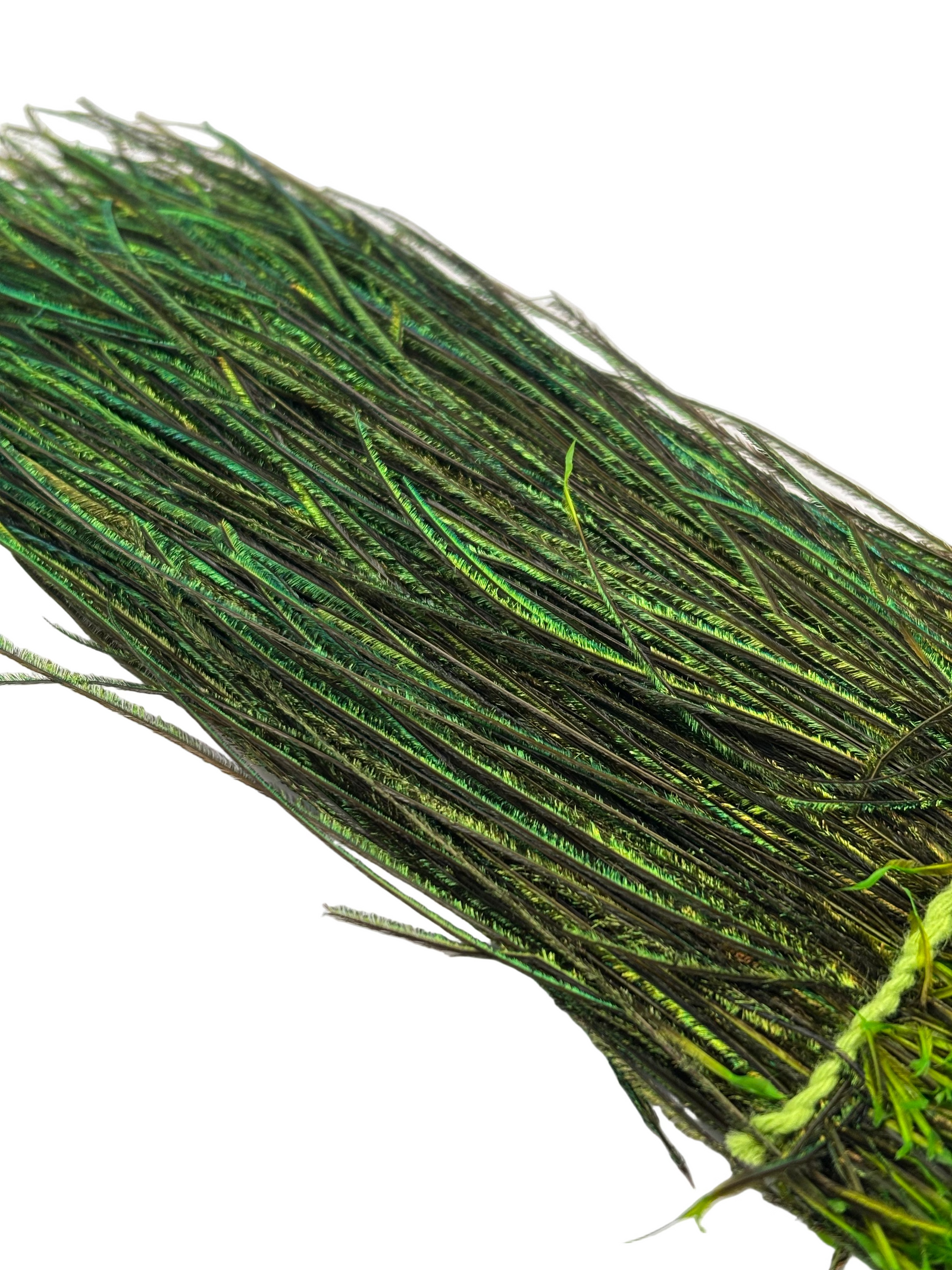 Nature's Spirit Strung Peacock Herl (5-7 inch)
