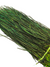 Nature's Spirit Strung Peacock Herl (5-7 inch)