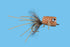 Solitude's Cricket