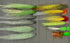 Peacock Bass Fly Assortment