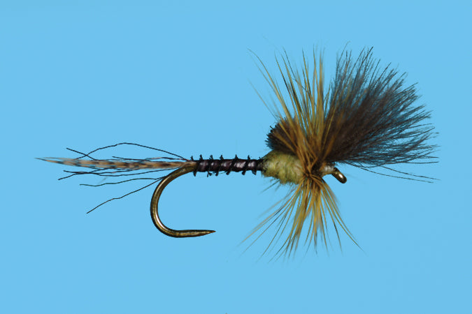 Last Chance Cripple-Green Drake