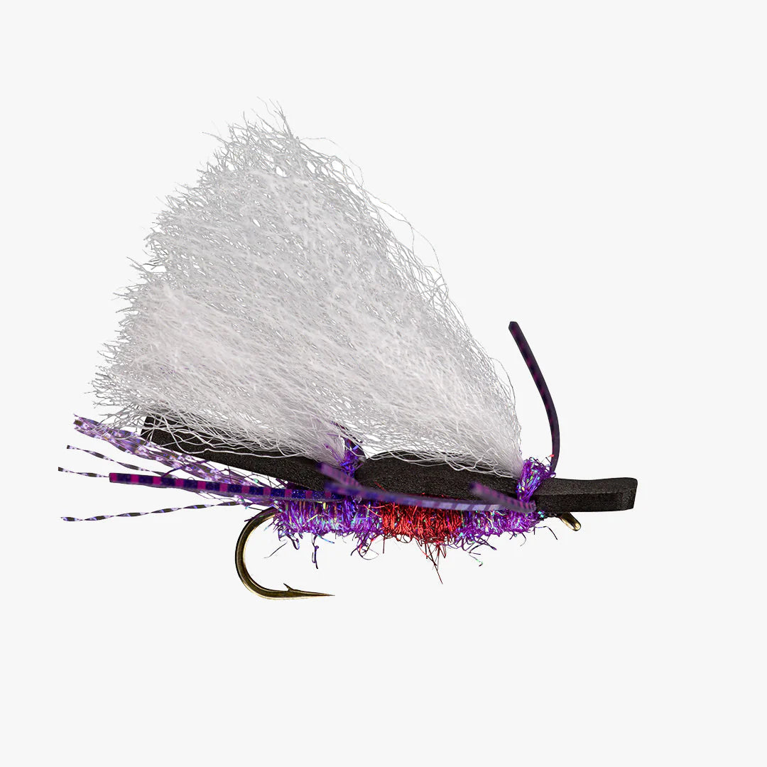 Rio's Chubby Chernobyl-Royal Purple