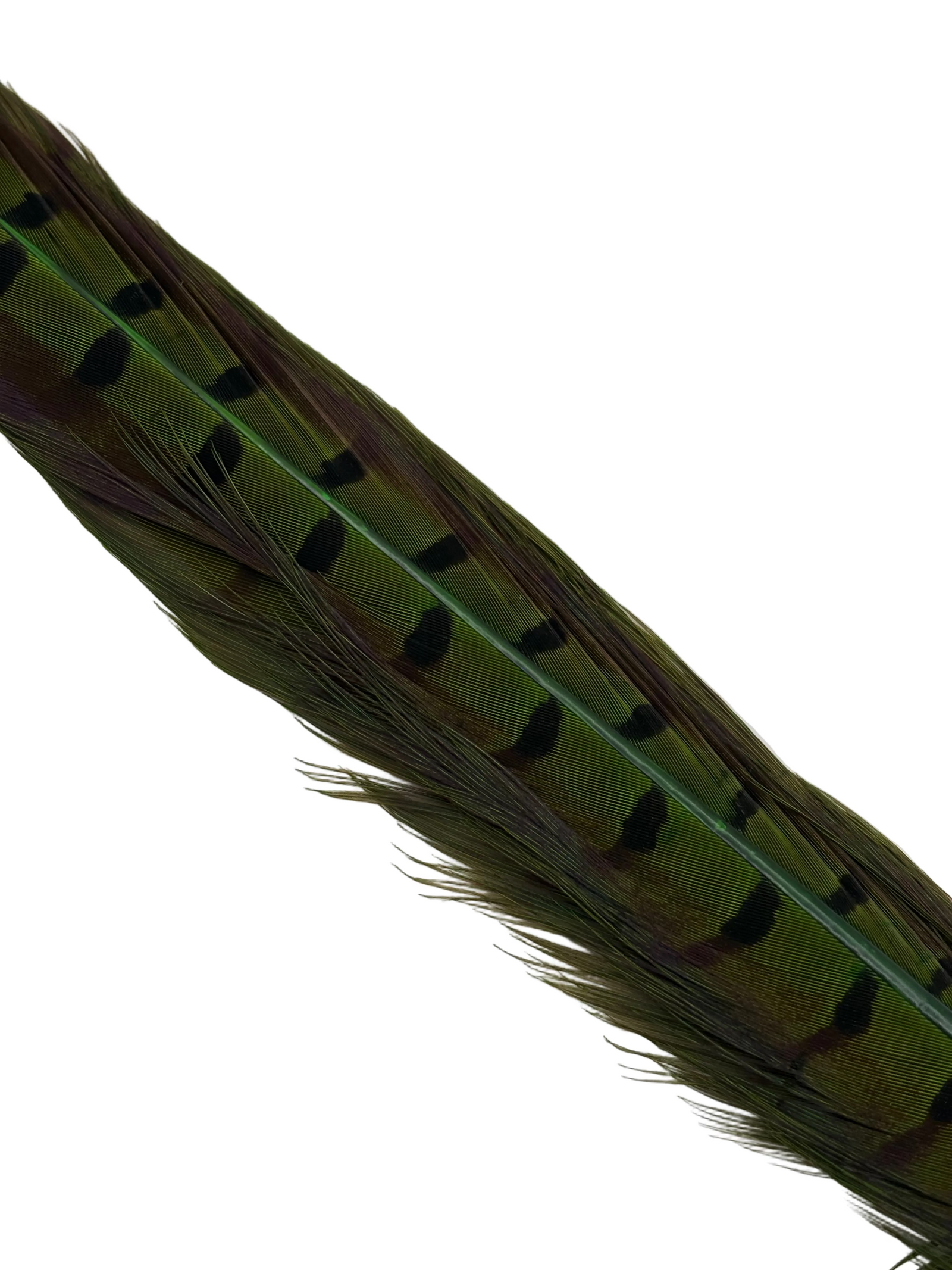 Nature's Spirit Ringneck Pheasant Center Tails