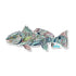 FisheWear Radiant Redfish Sticker
