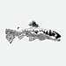 Remedy Elements of Fly Fishing Decal