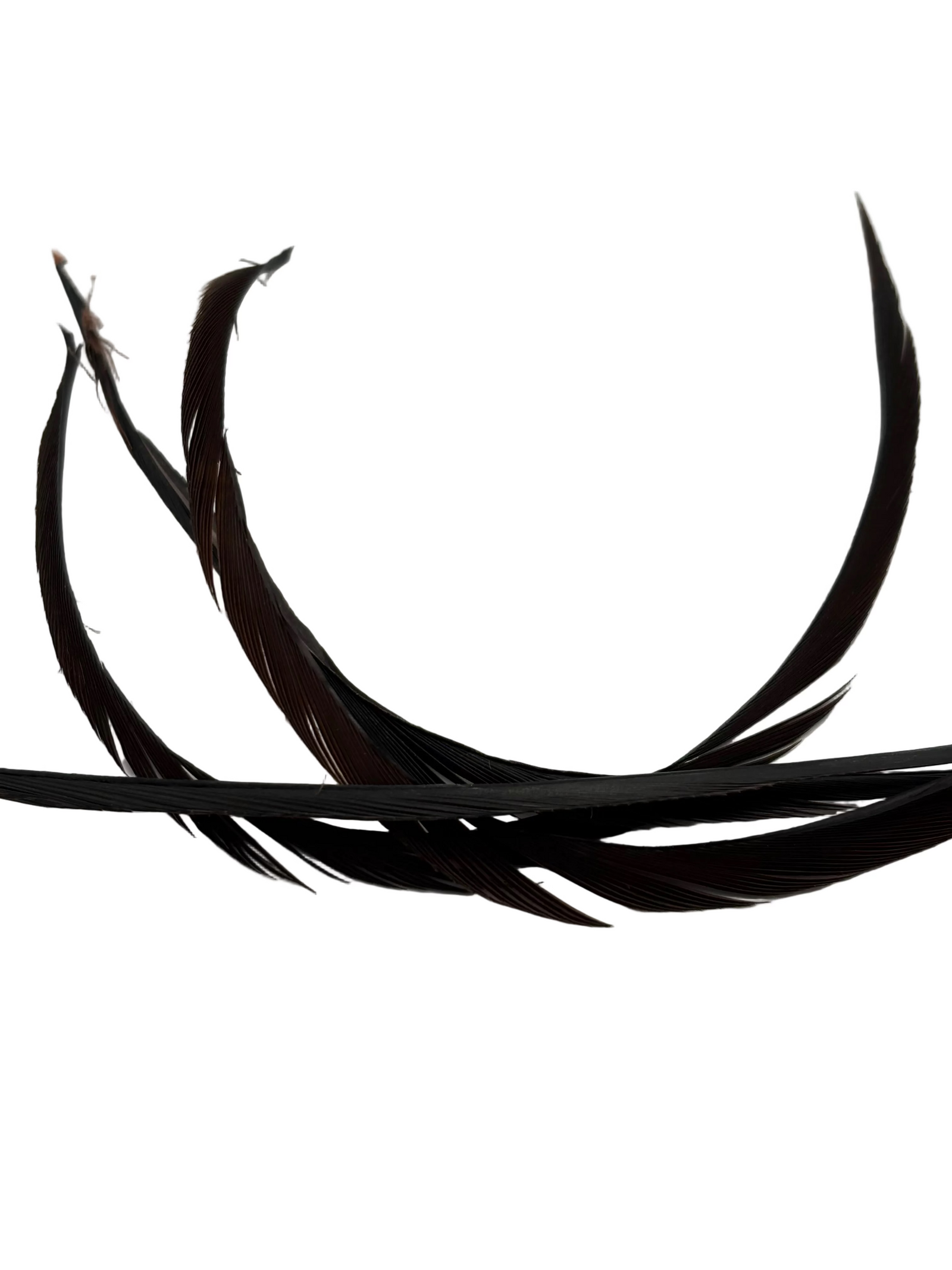 Nature's Spirit Stripped Goose Biots