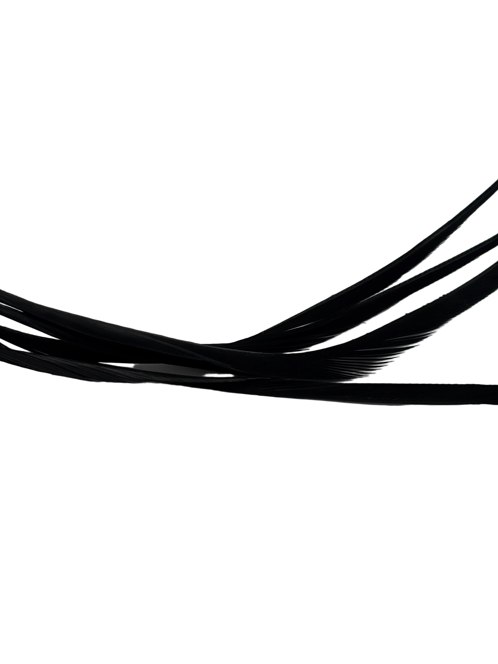 Nature's Spirit Stripped Goose Biots