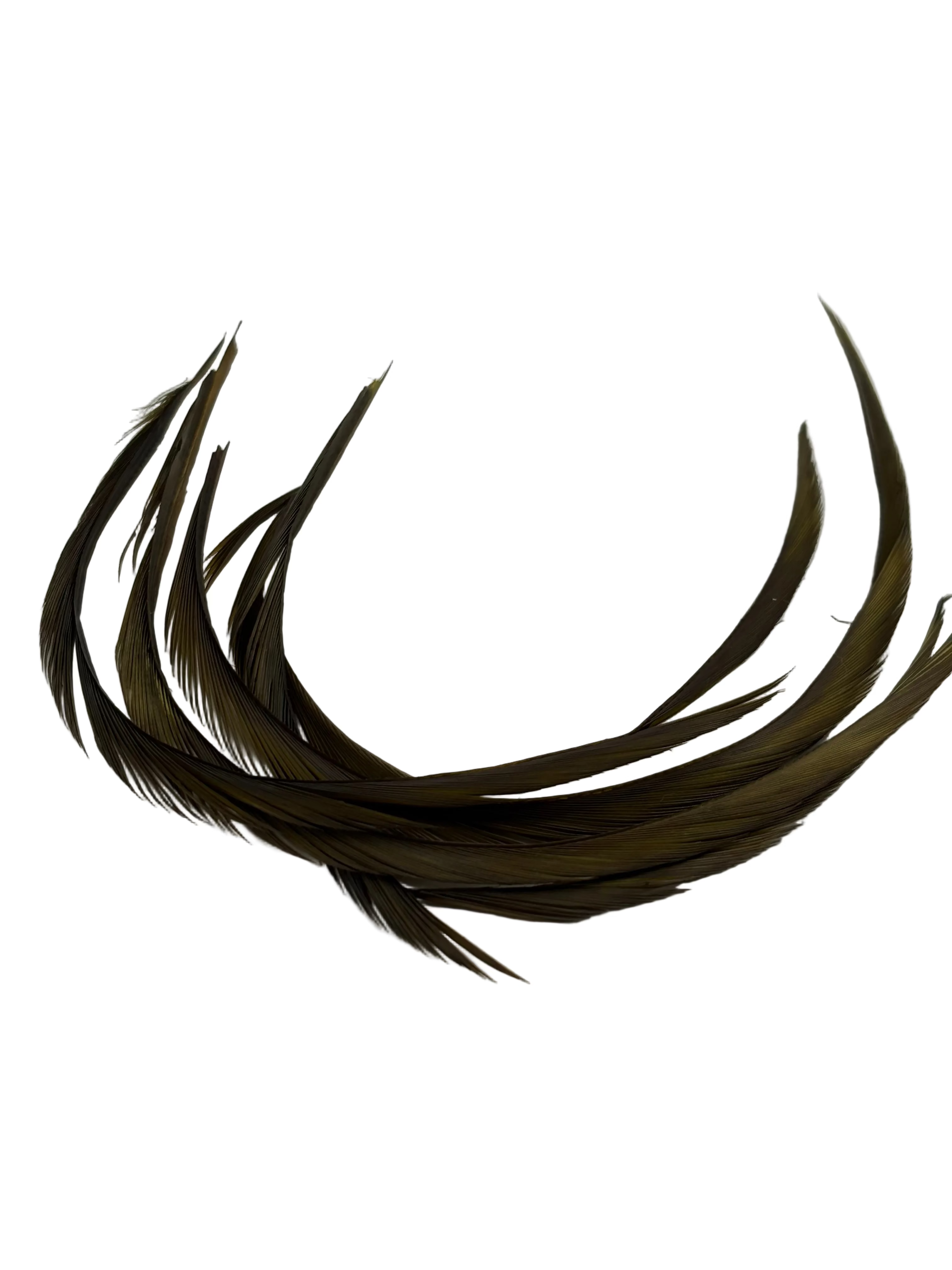 Nature's Spirit Stripped Goose Biots