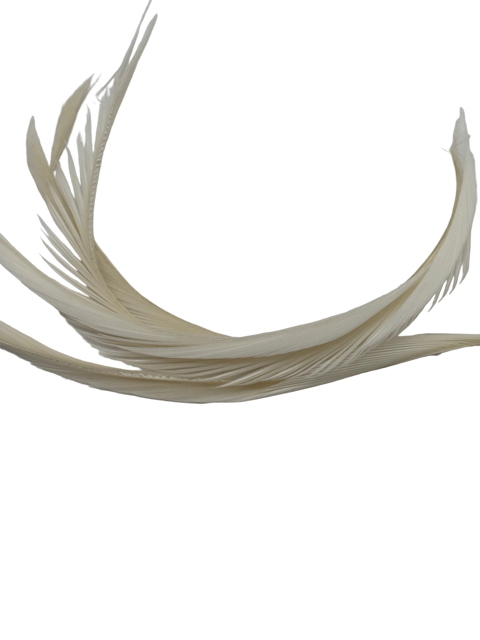 Nature's Spirit Stripped Goose Biots