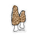 Morel Mushroom Sticker