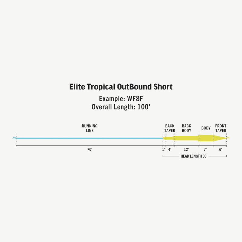 Load image into Gallery viewer, RIO Elite Tropical Outbound Short Fly Line
