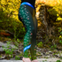 Feral Lyfe Leggings - Brown Trout