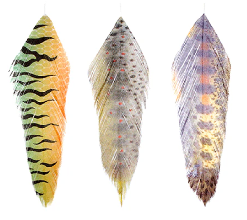 MFC Galloups Fish Feathers