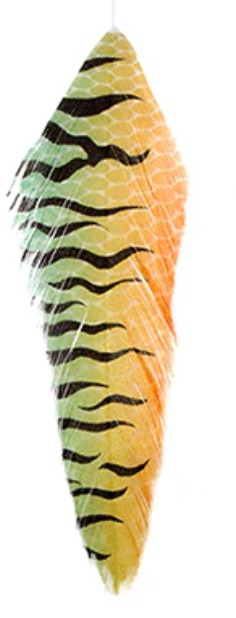 MFC Galloups Fish Feathers