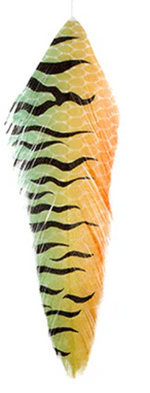 MFC Galloups Fish Feathers